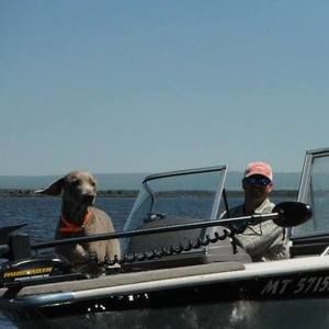 Meet your Posher, Ron